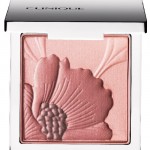 Fresh Bloom Allover Colour, Poudre Eclat FLoral -Clinique - 32,50 € (£24)